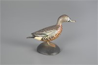 Miniature Blue-Winged Teal Drake