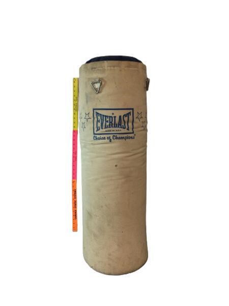 Everlast Punching Bag with Chain to Hang it