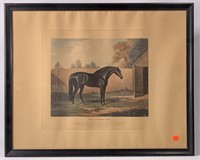 Horse print, "The Godolphin Barb," 26.5" x 23.75"