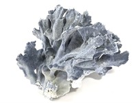 Blue Coral Specimen