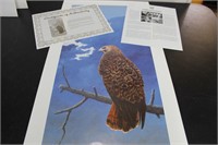 Wellington Ward print "Red Tailed Hawk."