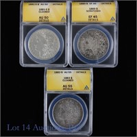 Silver Morgan Dollars (ANACS Graded) (3)