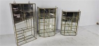 (3) Glass Hanging Display Cases