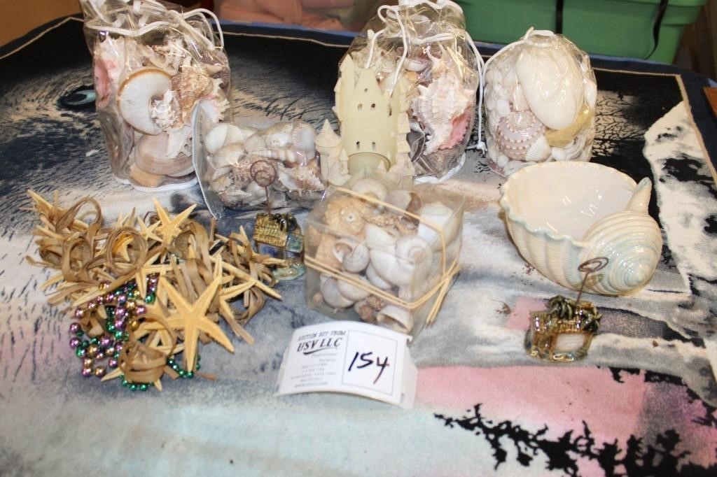 Sea Shell Collections