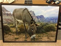 Framed Desert Burro print. 37x25.