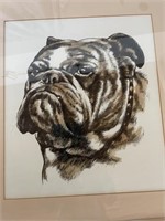BULL DOG PICTURE