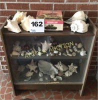 Cabinet w/glass doors full of sea shells