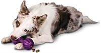 PetSafe Busy Buddy Waggle Dog Toy, Medium/Large
