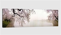 36"x12" Canvas, Cherry Blossoms at the Lakeside