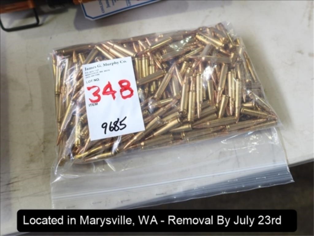 LOT, ASSORTED .223 REM AMMO IN THIS BAG