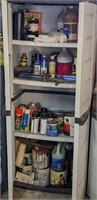 Garage Shelf and Contents Lot