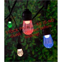 Portfolio 24’ Color Changing String Lights