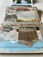 Antique Buffalo, NY Related Postcard Set