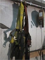 Two Safety Harnesses