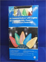 25 Outdoor / Indoor L E D Lights