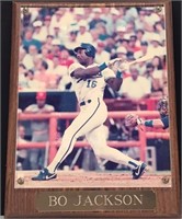 Bo Jackson Sports Plaque