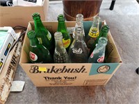 Box Lot of Bottles