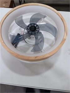 Ceiling Fan With Light. 20 in diameter