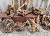 Assorted Preserved Manzanita Root Pieces