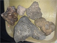 5 ROCKS W/ FOSSILS