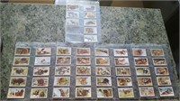 Set of 50 Wild Animals Tobacco Cards 1937