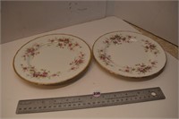 2 - Paragon "Victoriana" Plates