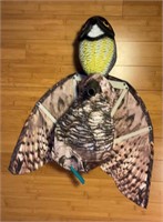 Prowler Owl scares away birds & sm animals OFFSITE