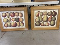 2 Framed German Fruit Prints