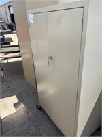 METAL CABINET