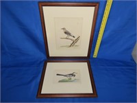 2 Bird Prints