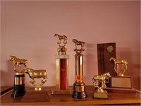 Trophy collection
