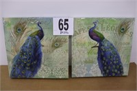 (2) 14x14 Peacock Canvas