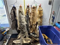 Tote of furs and miscellaneous items
