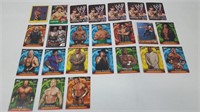 WWE wrestling trading cards