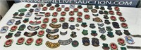 Collection Of Military Pins And Patches