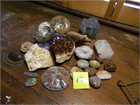 Rock & Fossil Collection