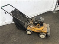 Cub Cadet CSV 220 Push Mower