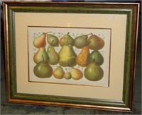 Mid Century 26" X 32" Prestigious Pears Picture