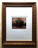 Framed Photograph of French Plants