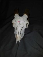 Ram Head Skull With Horns