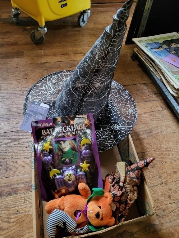 Light Up Witch Hat, Bat Necklace & More