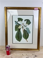 Framed Magnolia Picture B