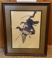 Mallard & Wood Duck Framed Prints by Zimmerman