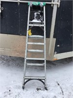 6' aluminum Ladder
