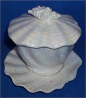 seashell dish