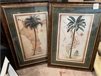 Palm tree pictures