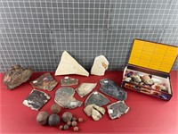 FOSSILS, GEODES & MORE