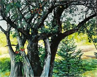 Elizabeth Moran - Old Apple Tree