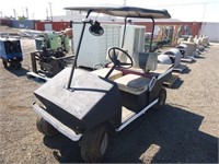 Taylor Dunn Electric Cart