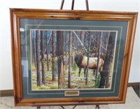 Cynthie Fisher Framed Print One Last Look